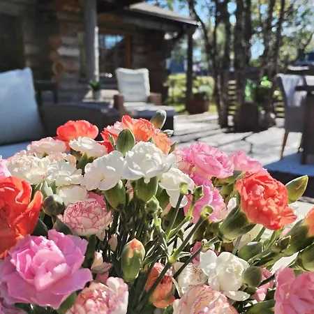 Apartamento Kuukkeli Log Teerenpesae - Premium A48 Saariselkä